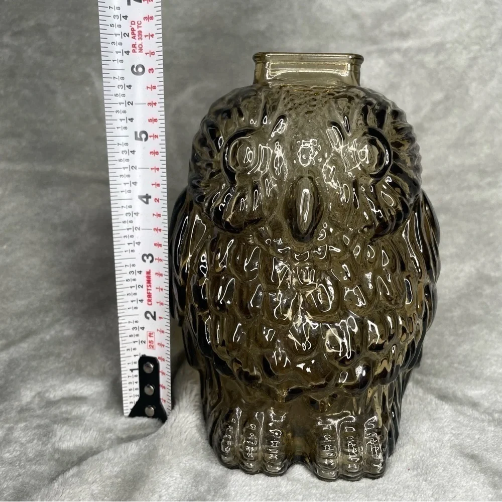 Vintage Wise Old Owl Smoked Glass Coin Bank MCM Home Decor Collectible